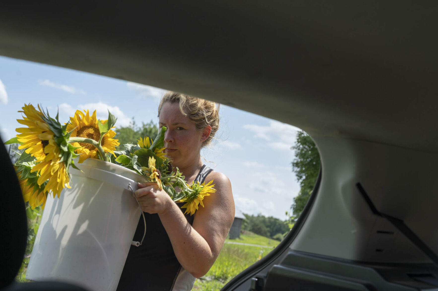 Organic farming brings food home